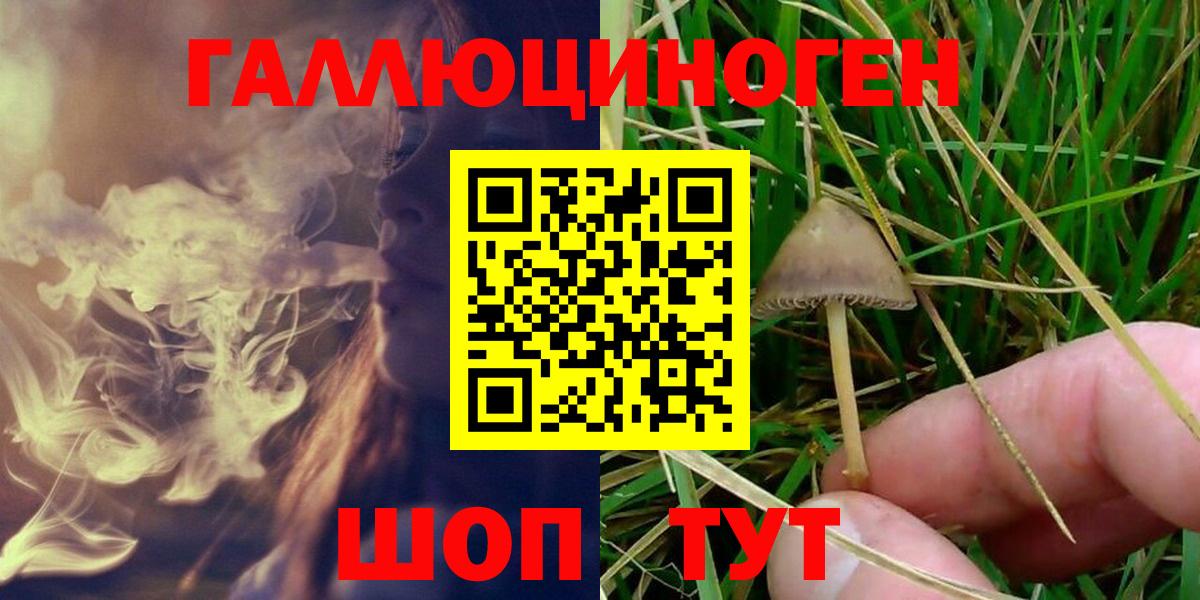 Псилоцибиновые грибы Psilocybine cubensis  Псилоцибиновые грибы MAGIC MUSHROOMS  Вход с VPN  Бор 